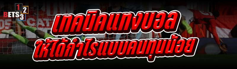 เทคนิคแทงบอล ให้ได้กำไรแบบคนทุนน้อย
