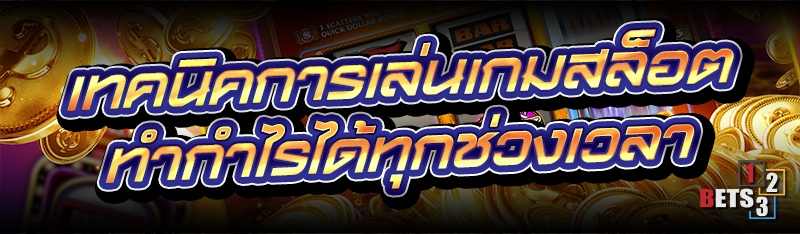 เทคนิคการเล่นเกมสล็อต ทำกำไรได้ทุกช่วงเวลา