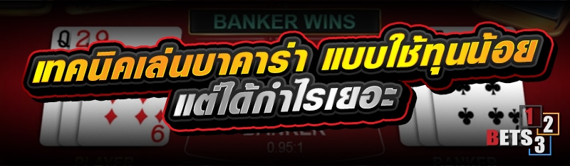เทคนิคเล่นบาคาร่า แบบใช้ทุนน้อย แต่ได้กำไรเยอะ