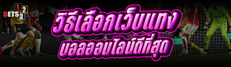 วิธีเลือก เว็บแทงบอลออนไลน์ ดีที่สุด