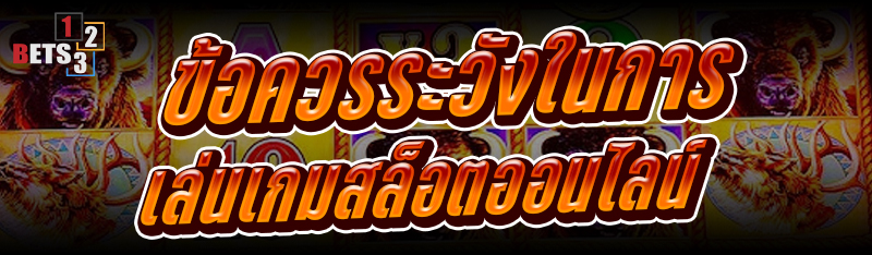 ข้อควรระวังในการเล่น เกมสล็อตออนไลน์